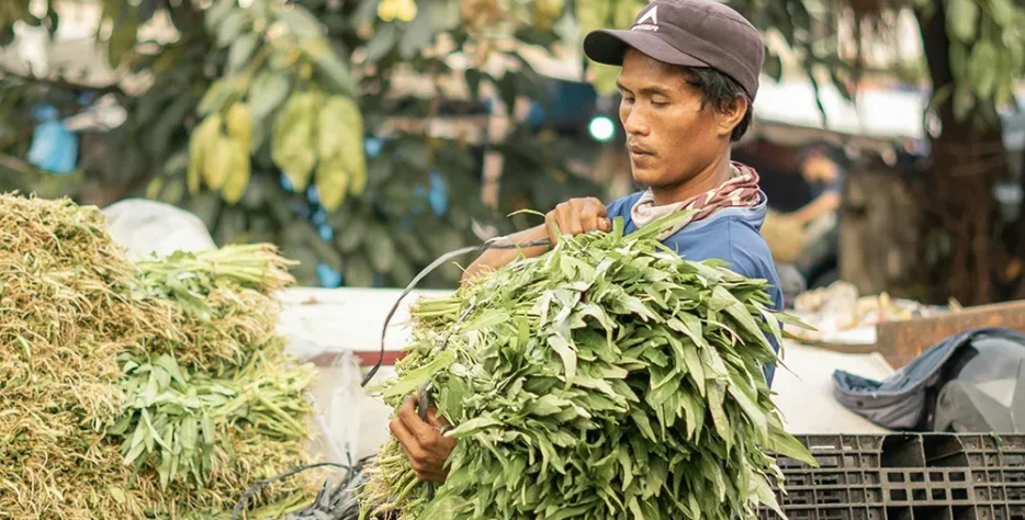 Our cows live in a peaceful rural area of Gujarat, far away from city traffic and industrial pollution. Environmental Features: * Fresh, clean air * Open grazing space * Natural sunlight throughout the day * Quiet and calm surroundings This stress-free atmosphere plays a key role in maintaining milk purity and quality.