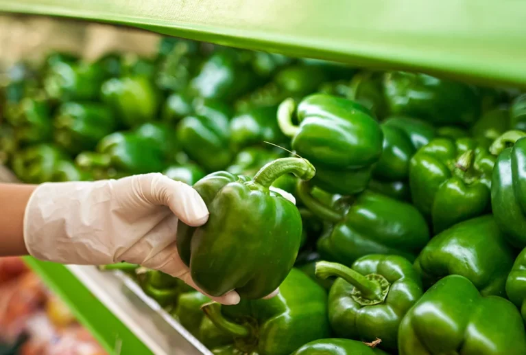 Our gaushala (cow shelter) in Gujarat is designed to provide comfort, cleanliness, and proper ventilation. Hygiene Practices: * Daily cleaning of floors * Dry and comfortable resting areas * Proper drainage system * Clean water facilities A clean environment helps prevent disease and keeps cows healthy and comfortable.