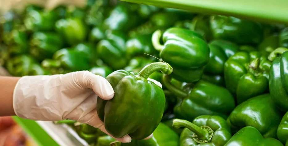 Our gaushala (cow shelter) in Gujarat is designed to provide comfort, cleanliness, and proper ventilation. Hygiene Practices: * Daily cleaning of floors * Dry and comfortable resting areas * Proper drainage system * Clean water facilities A clean environment helps prevent disease and keeps cows healthy and comfortable.