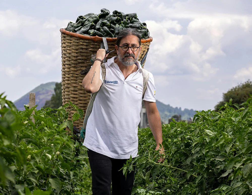 Organic farms avoid toxic inputs, improve soil health, grow clean, sustainable food that supports nature.