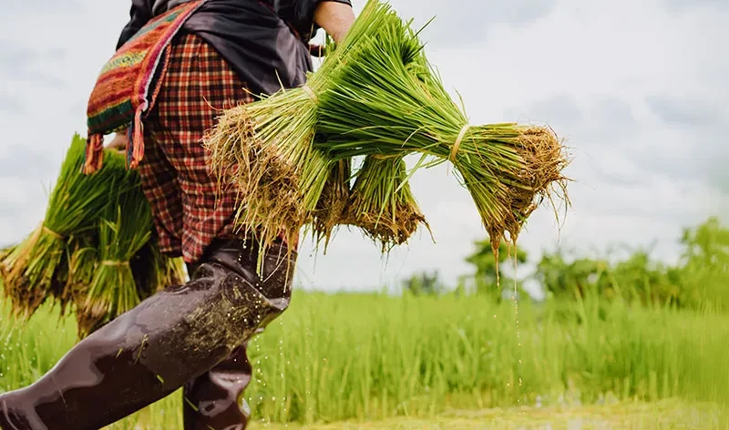 There are many variations of passages of Lorem Ipsum available, but majority have suffered teration in some form, by injected humour, or randomised words which don't look even slight believable. If you are going to use a passage of Lorem Ipsum.